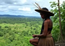 Indígenas Yanomami