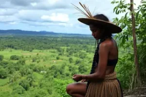 Indígenas Yanomami
